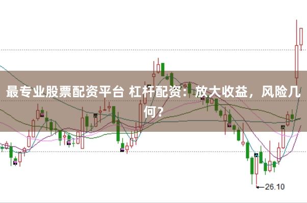 最专业股票配资平台 杠杆配资：放大收益，风险几何？
