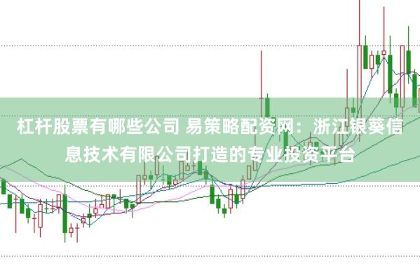 杠杆股票有哪些公司 易策略配资网：浙江银葵信息技术有限公司打造的专业投资平台