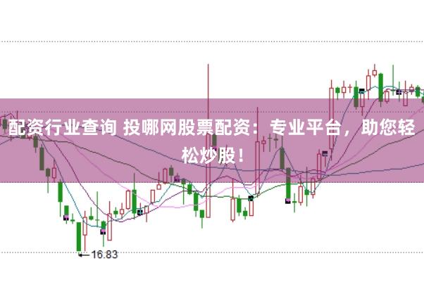 配资行业查询 投哪网股票配资：专业平台，助您轻松炒股！