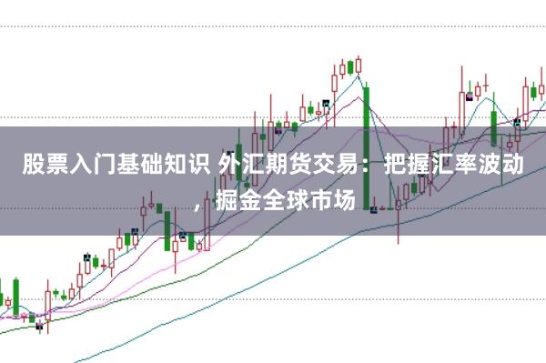 股票入门基础知识 外汇期货交易：把握汇率波动，掘金全球市场