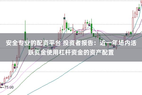 安全专业的配资平台 投资者报告：近一年场内活跃资金使用杠杆资金的资产配置