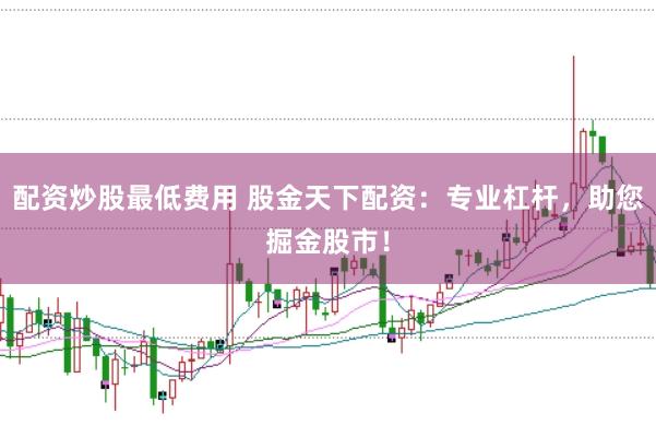 配资炒股最低费用 股金天下配资：专业杠杆，助您掘金股市！
