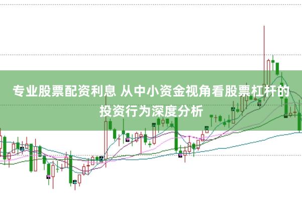 专业股票配资利息 从中小资金视角看股票杠杆的投资行为深度分析