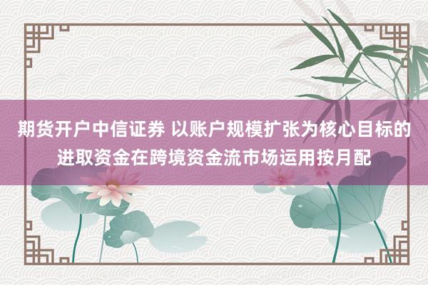 期货开户中信证券 以账户规模扩张为核心目标的进取资金在跨境资金流市场运用按月配
