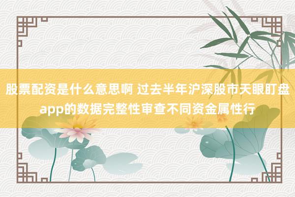 股票配资是什么意思啊 过去半年沪深股市天眼盯盘app的数据完整性审查不同资金属性行